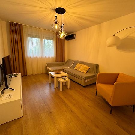 Alexander Cozy Apartment Free Private Parking Mediaş Dış mekan fotoğraf