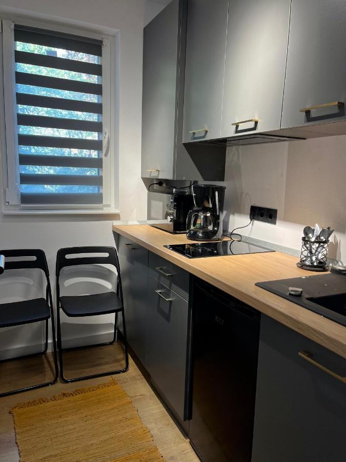 Alexander Cozy Apartment Free Private Parking Mediaş Dış mekan fotoğraf